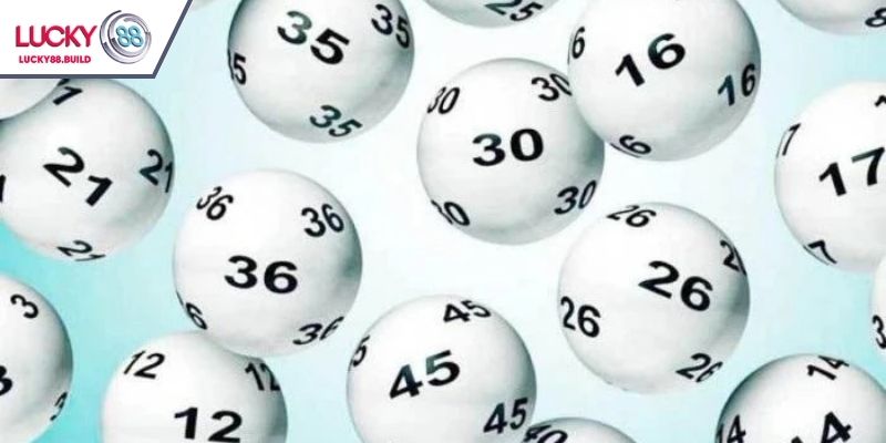 Lưu ý quan trọng cho người mới chơi XSMT