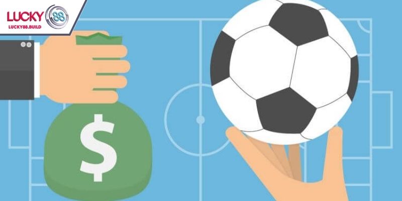 Tham gia cá cược bóng rổ đầy hấp dẫn