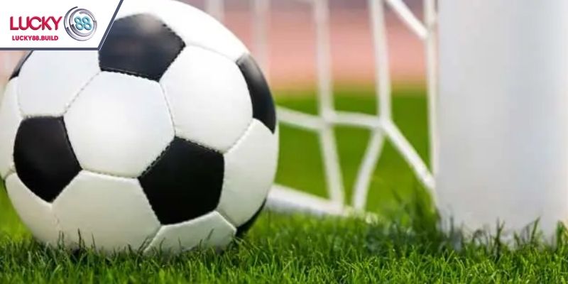 Tìm hiểu về loại kèo cược tài xỉu